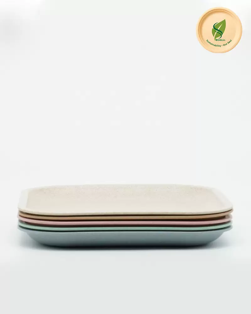 Eco Square Meal Plate Big - Image 3